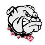 Team_georgia-bulldogs180