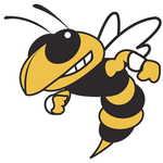 Team_georgia-tech-sting