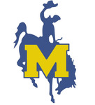 Team_mcneese-state-cowboys-altlogo